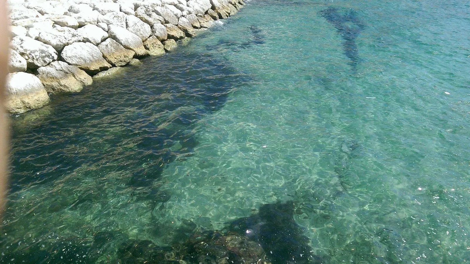 Plage des Catalans