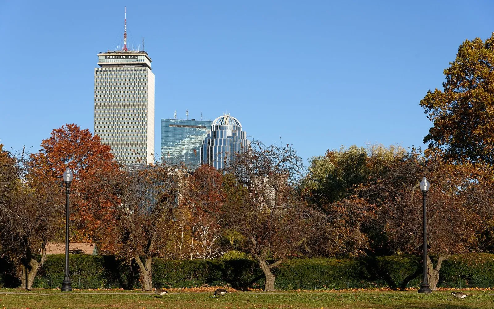 Fenway Ballpark and Museum Walk