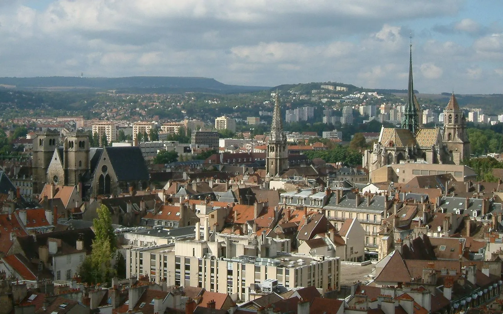The Owl, the Market, and the Ducal Palace