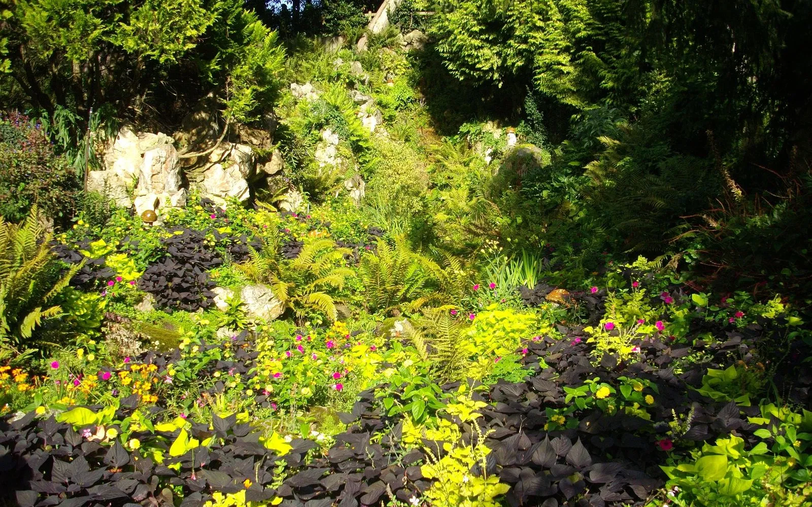 Gardens, Biscuits and Back Lanes