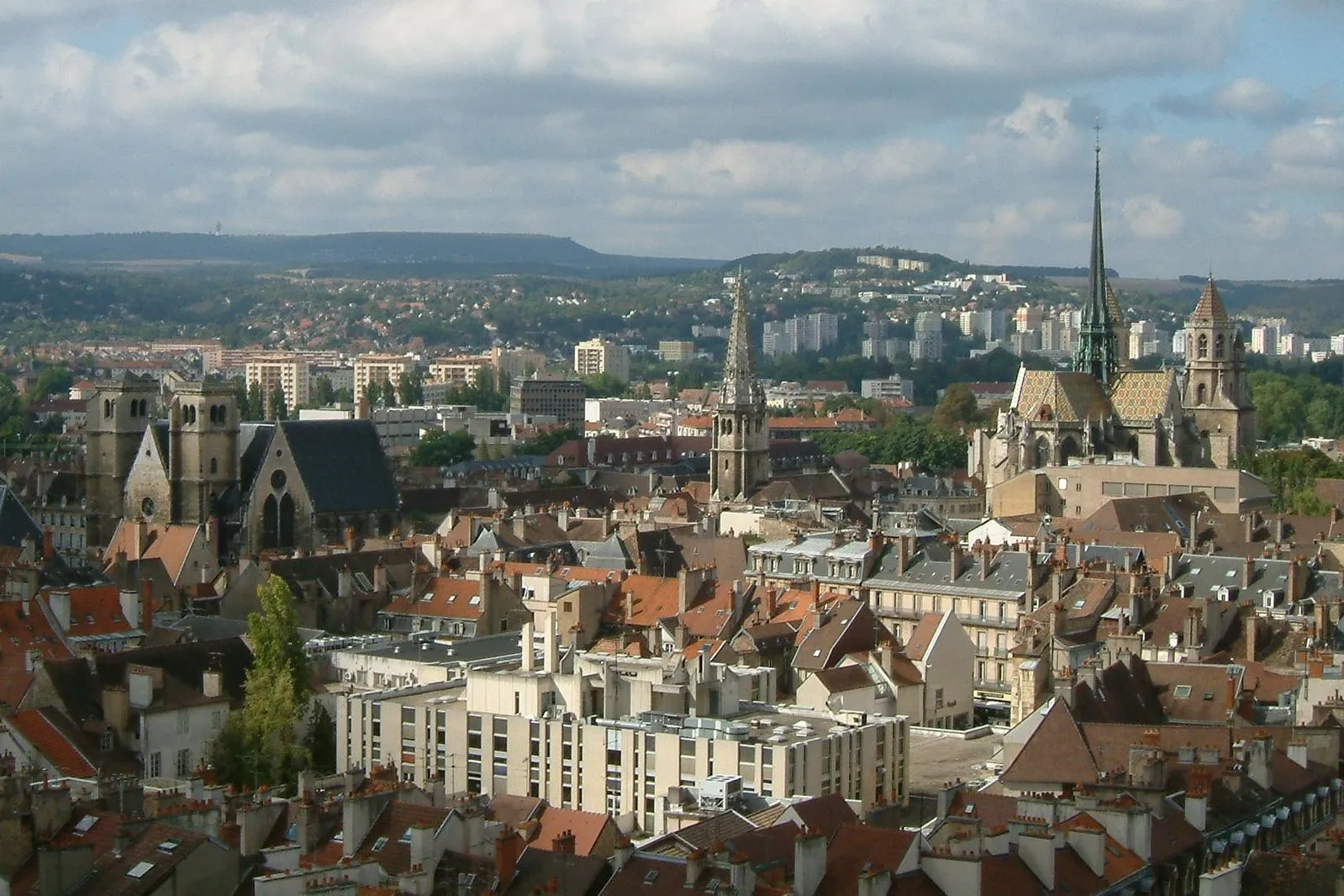 The Owl, the Market, and the Ducal Palace