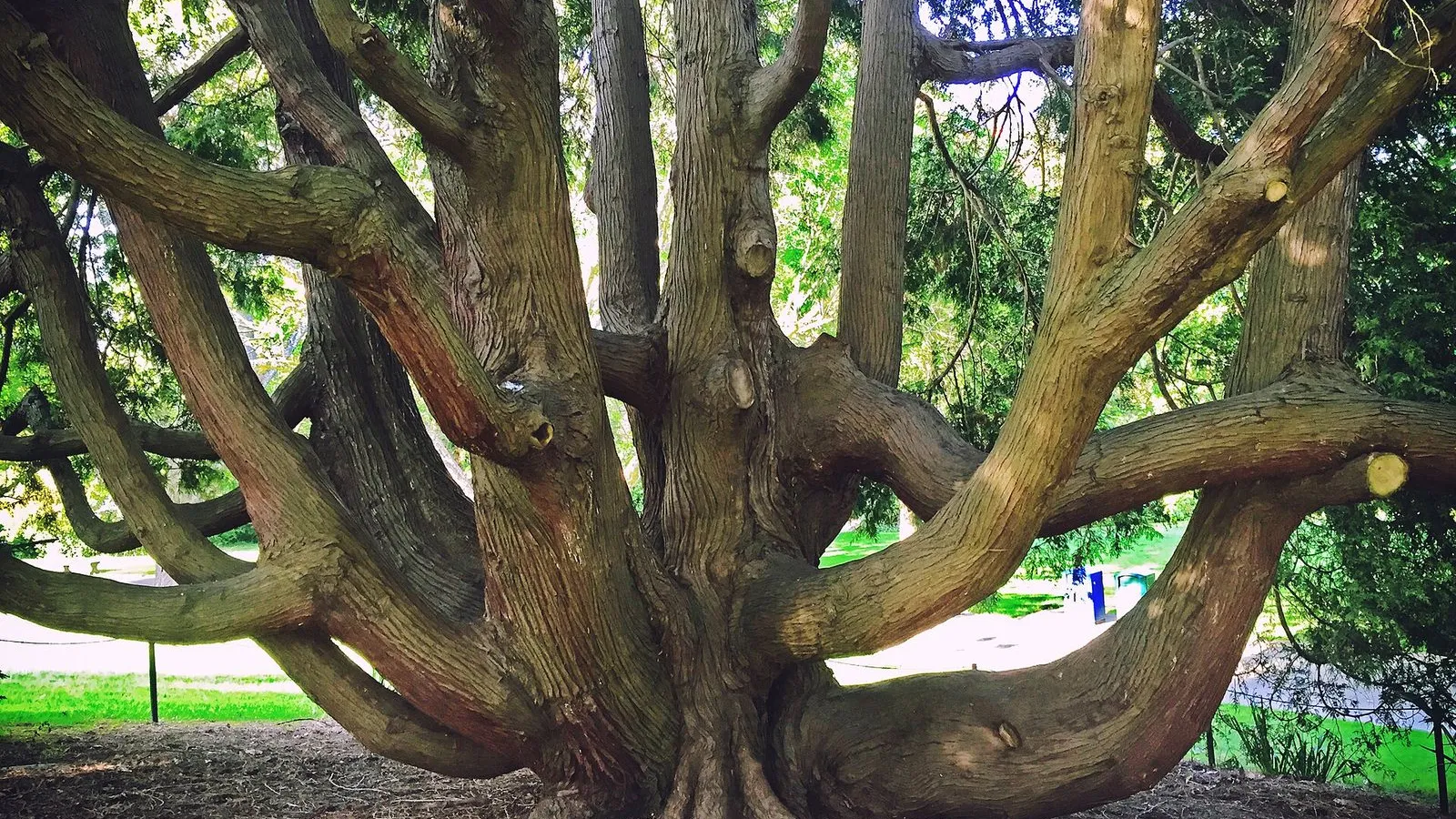 Carl S. English Jr. Botanical Garden
