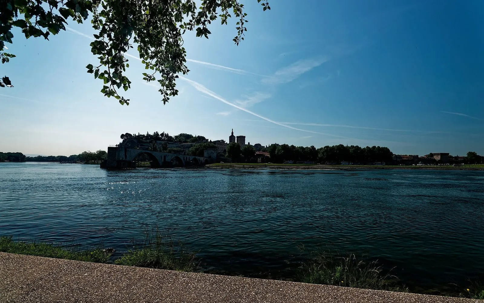 The Palace of the Popes and the Bridge