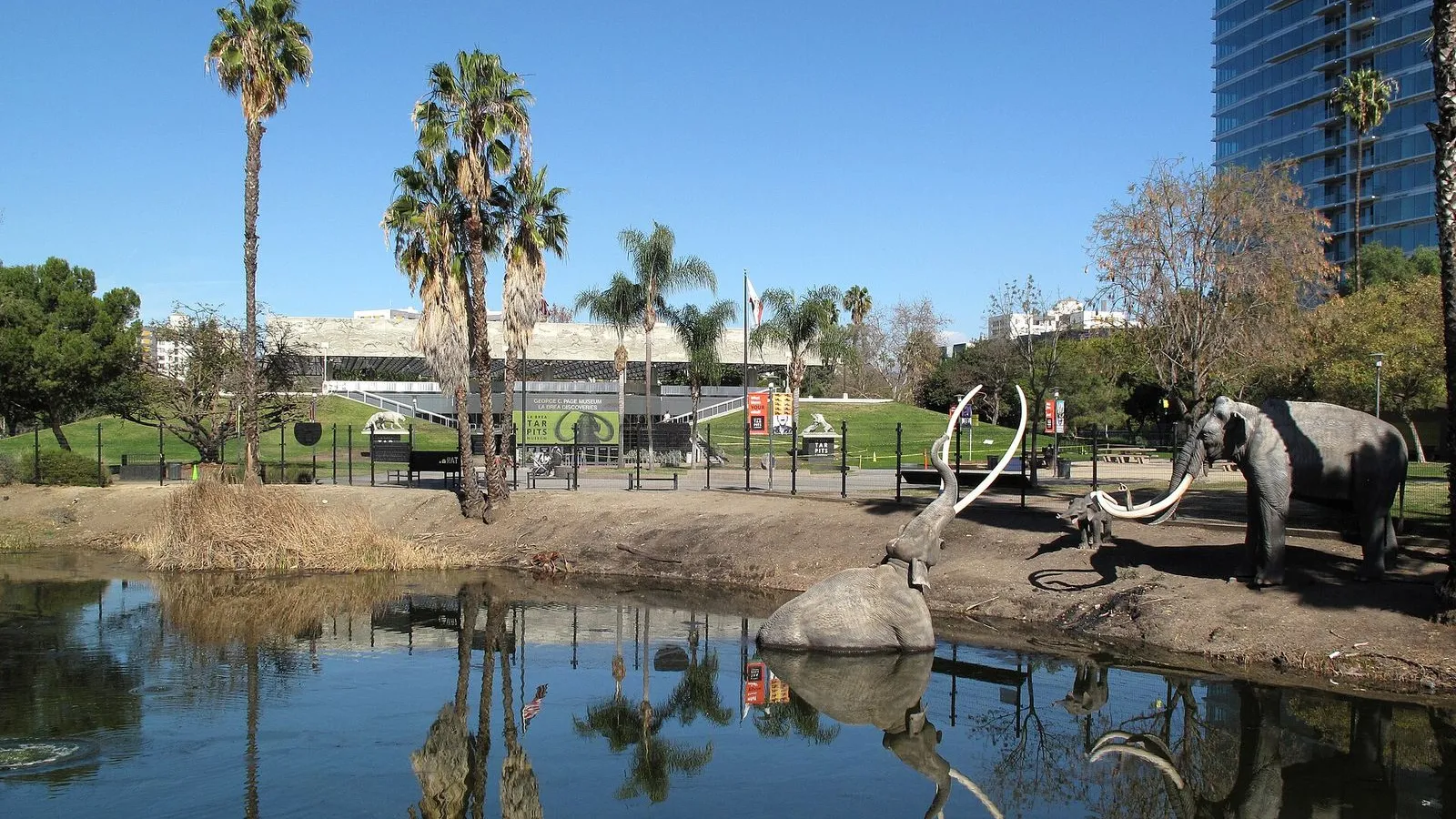 La Brea Tar Pits