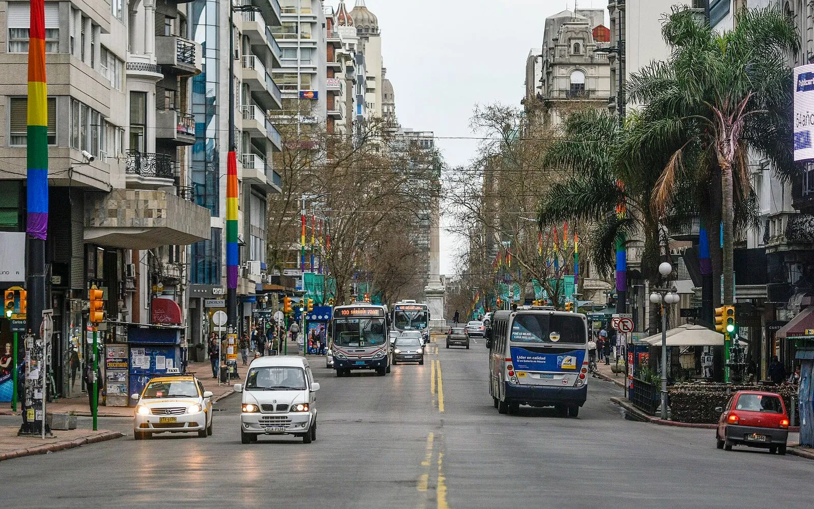 The Avenue That Built Upward
