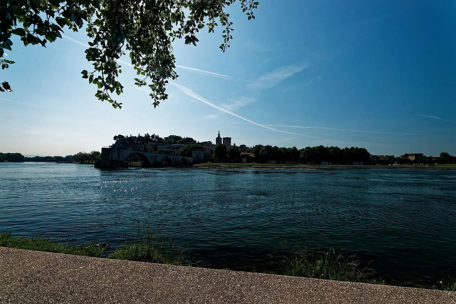 Le Palais des Papes et le Pont