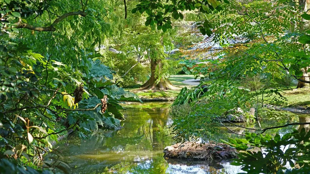 Jardin des Plantes