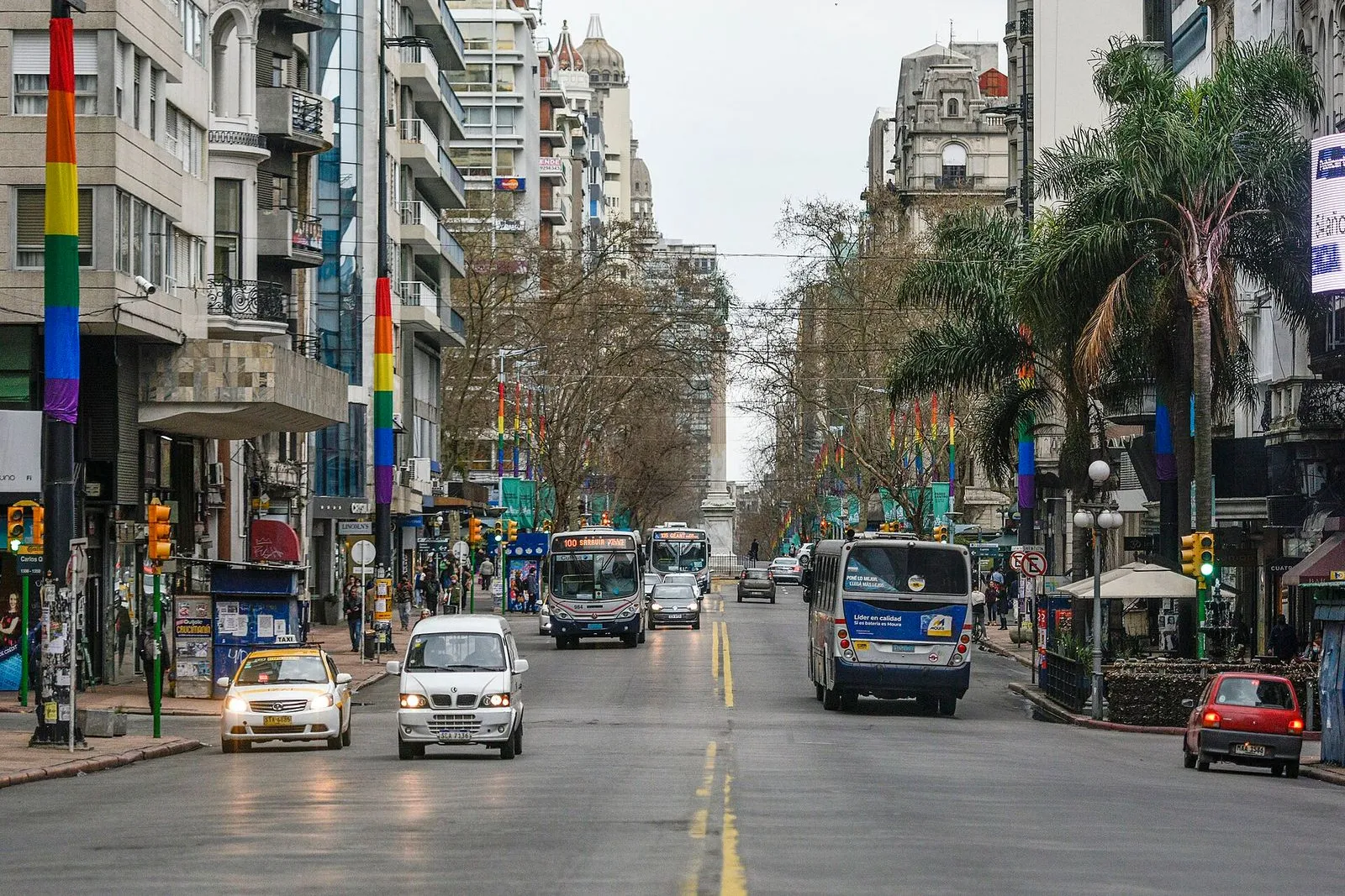 The Avenue That Built Upward