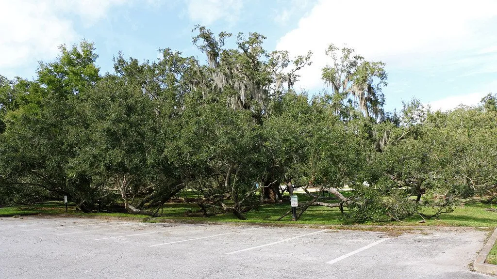 Loch Haven Park