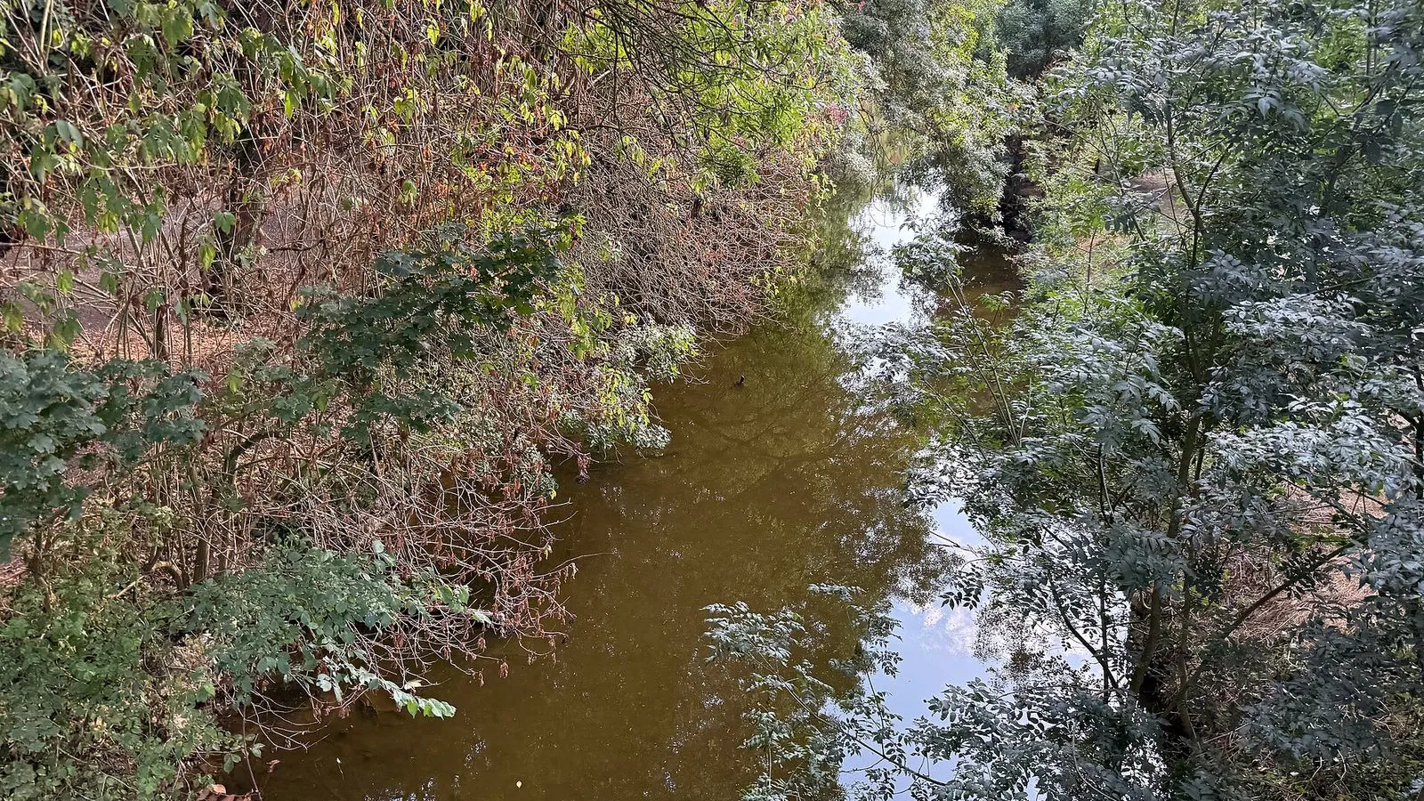 Old Moat Streams