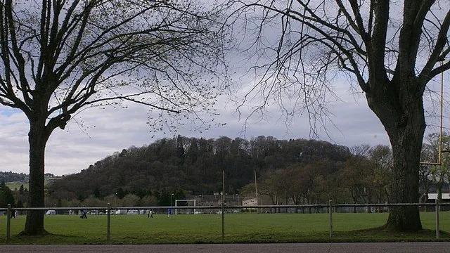 Bught Park