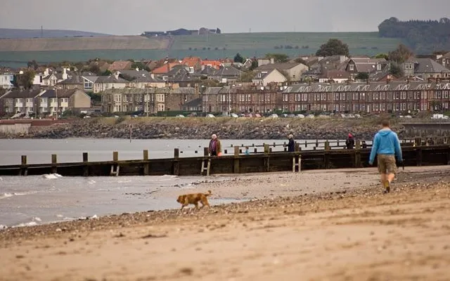 Portobello
