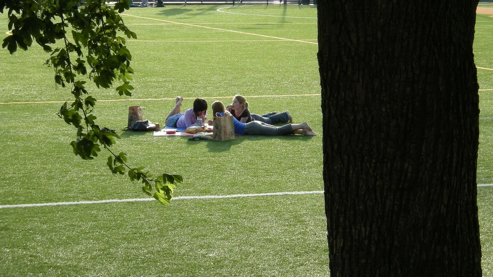 Parc Cal Anderson