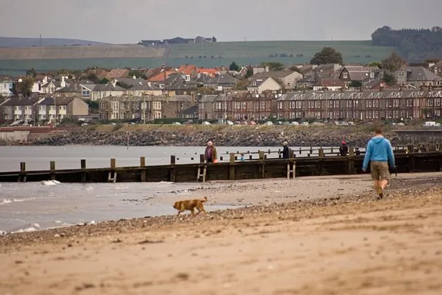 Portobello